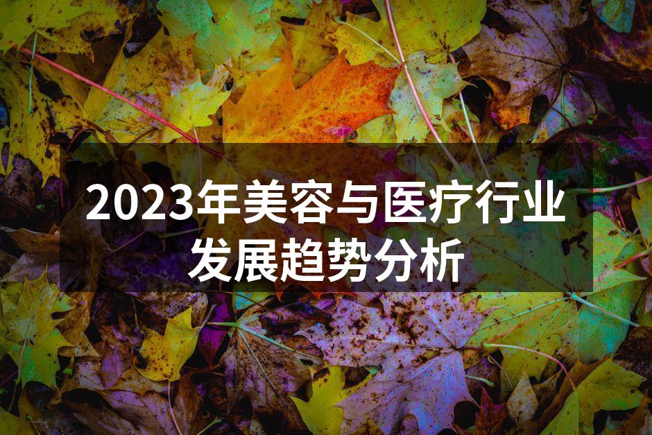 2023年美容与医疗行业发展趋势分析